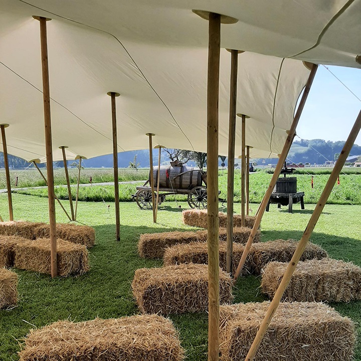 location tente mariage Suisse
